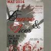affiche spectacle de danse 2014